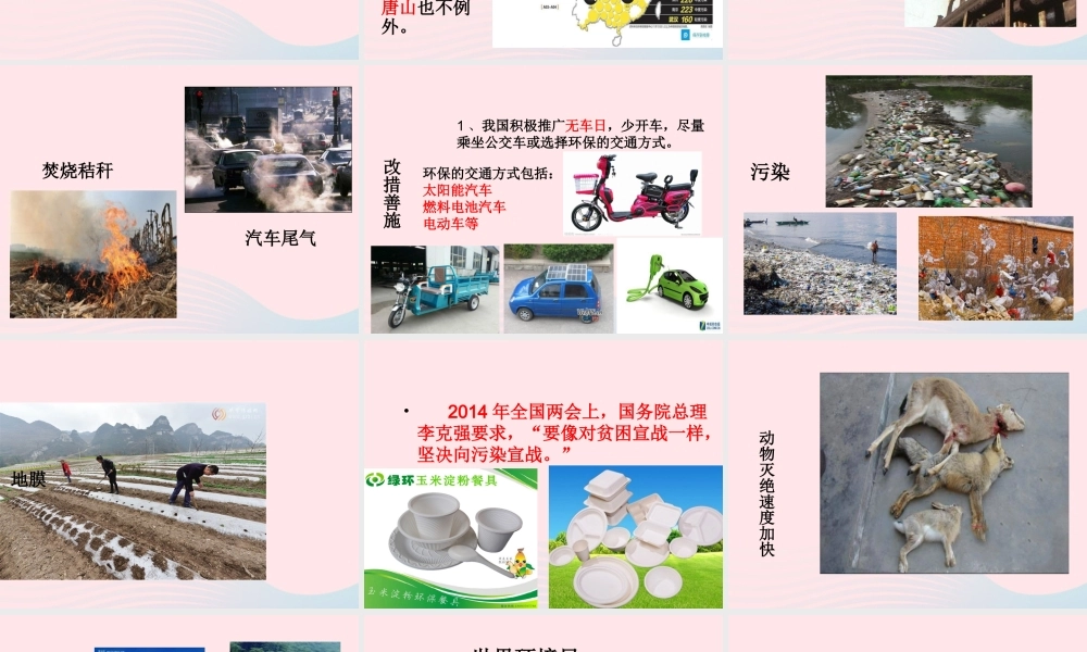 六年级科学下册 第四单元 环境和我们 8 环境问题和我们的行动课件 教科版-教科版小学六年级下册自然科学课件