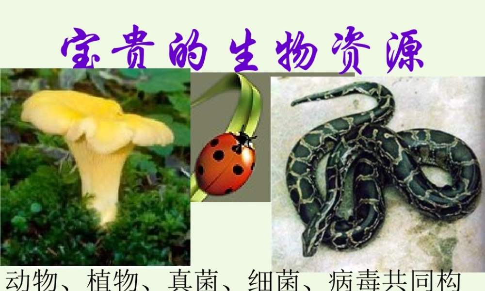 六年级科学上册 第7课 宝贵的生物资源课件3 冀教版-冀教版小学六年级上册自然科学课件