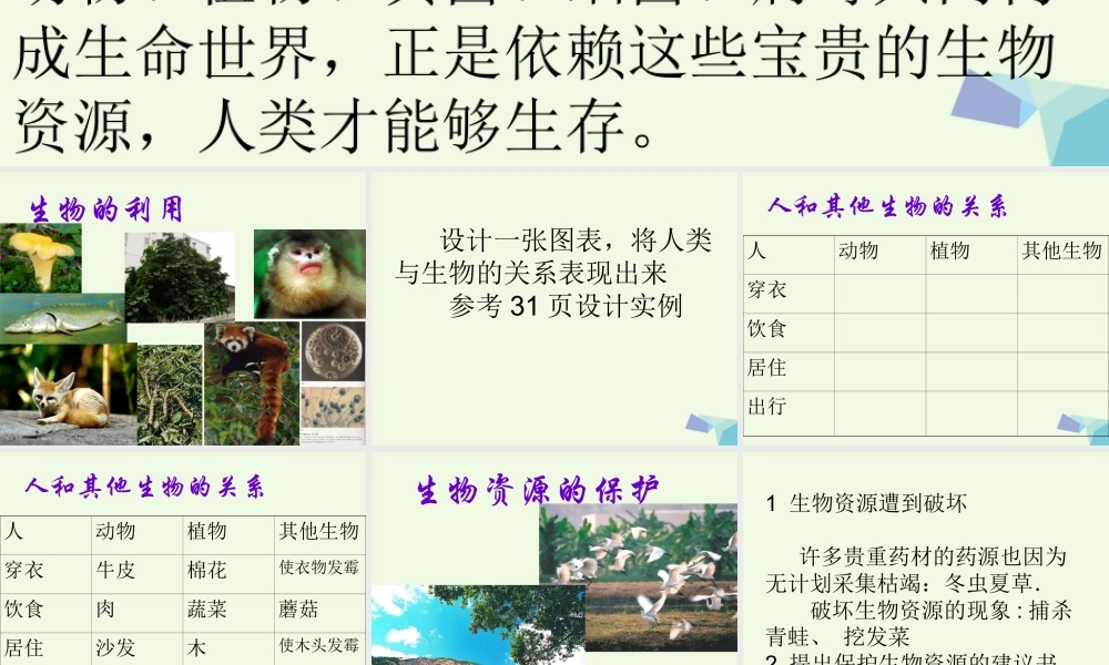 六年级科学上册 第7课 宝贵的生物资源课件3 冀教版-冀教版小学六年级上册自然科学课件