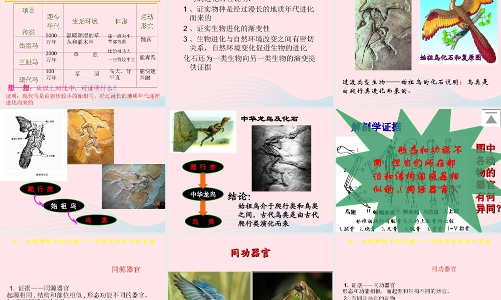 六年级科学下册 二 生物与环境 4 生物的进化课件（2） 新人教版-新人教版小学六年级下册自然科学课件