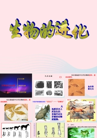 六年级科学下册 二 生物与环境 4 生物的进化课件（2） 新人教版-新人教版小学六年级下册自然科学课件