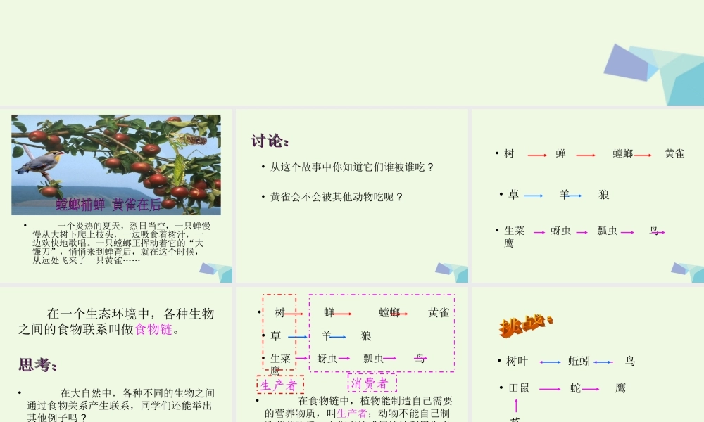 六年级科学上册 密切联系的生物界课件1 青岛版-青岛版小学六年级上册自然科学课件
