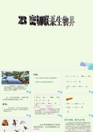 六年级科学上册 密切联系的生物界课件1 青岛版-青岛版小学六年级上册自然科学课件