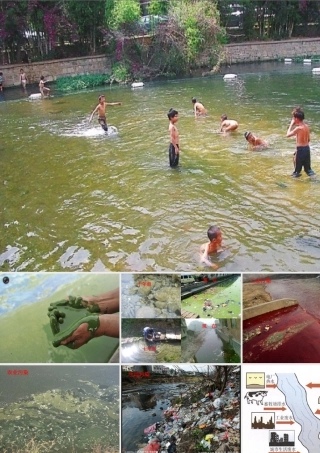 六年级科学下册 二 水环境污染与保护 1 小河的哭泣课件（2） 湘教版-湘教版小学六年级下册自然科学课件