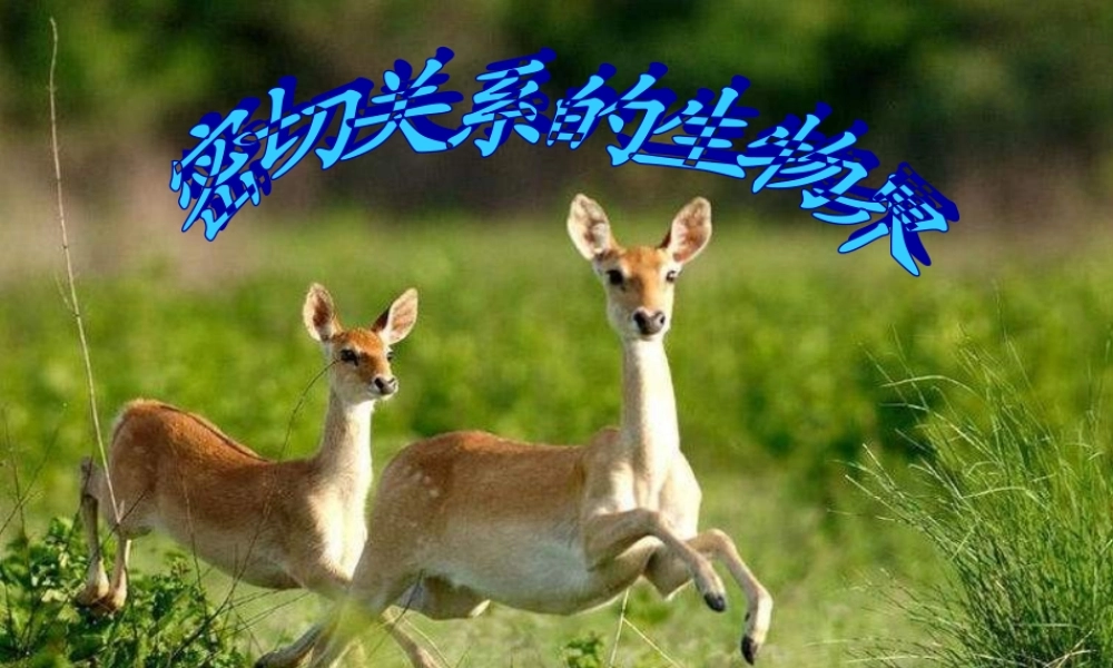 六年级科学上册 密切联系的生物界课件3 青岛版-青岛版小学六年级上册自然科学课件