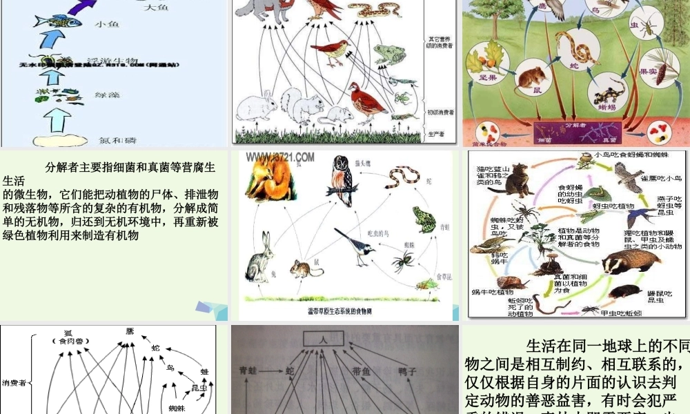 六年级科学上册 密切联系的生物界课件5 青岛版-青岛版小学六年级上册自然科学课件