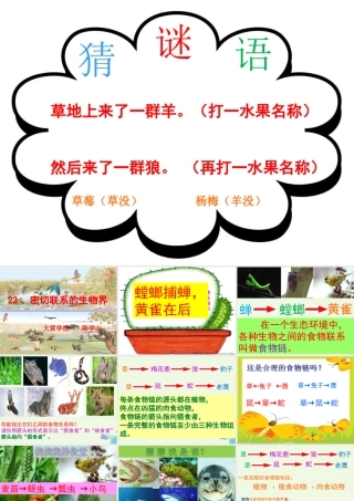 六年级科学上册 密切联系的生物界课件5 青岛版-青岛版小学六年级上册自然科学课件