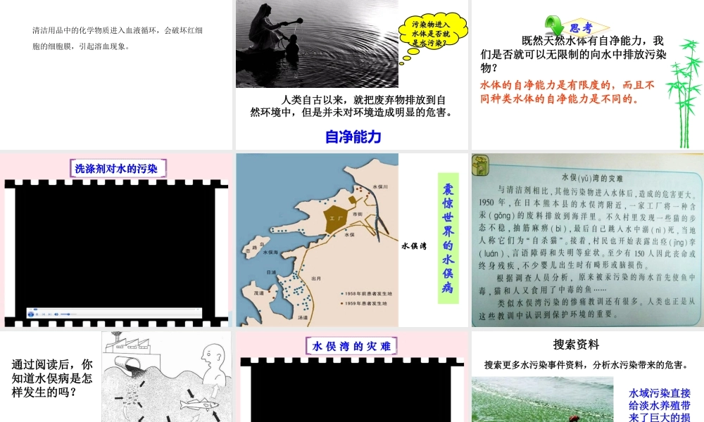 六年级科学下册 二 水环境污染与保护 3 清洁剂的威力课件（1） 湘教版-湘教版小学六年级下册自然科学课件