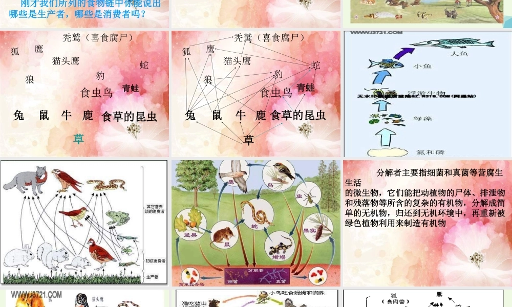 六年级科学上册 密切联系的生物界课件6 青岛版-青岛版小学六年级上册自然科学课件