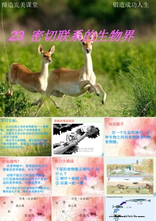 六年级科学上册 密切联系的生物界课件6 青岛版-青岛版小学六年级上册自然科学课件