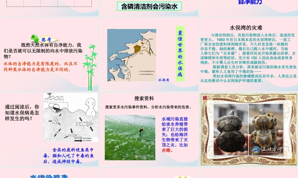 六年级科学下册 二 水环境污染与保护 3 清洁剂的威力课件（2） 湘教版-湘教版小学六年级下册自然科学课件