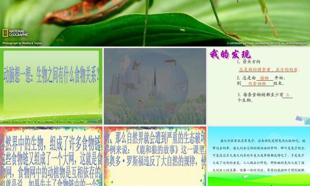 六年级科学上册 密切联系的生物界课件7 青岛版-青岛版小学六年级上册自然科学课件