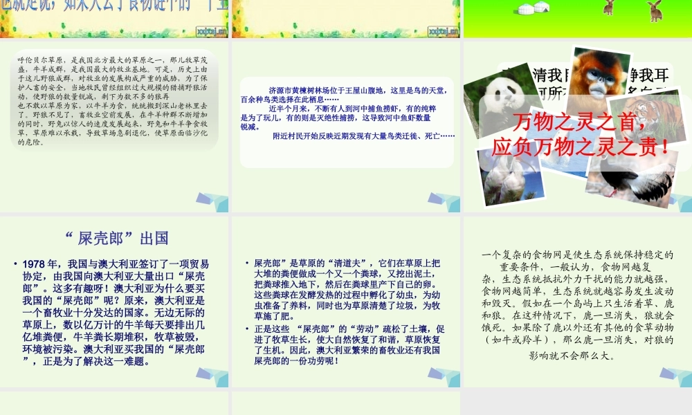 六年级科学上册 密切联系的生物界课件7 青岛版-青岛版小学六年级上册自然科学课件