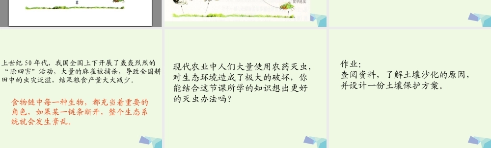 六年级科学上册 密切联系的生物界课件8 青岛版-青岛版小学六年级上册自然科学课件