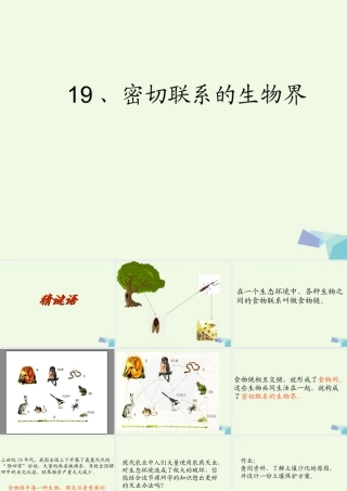 六年级科学上册 密切联系的生物界课件8 青岛版-青岛版小学六年级上册自然科学课件