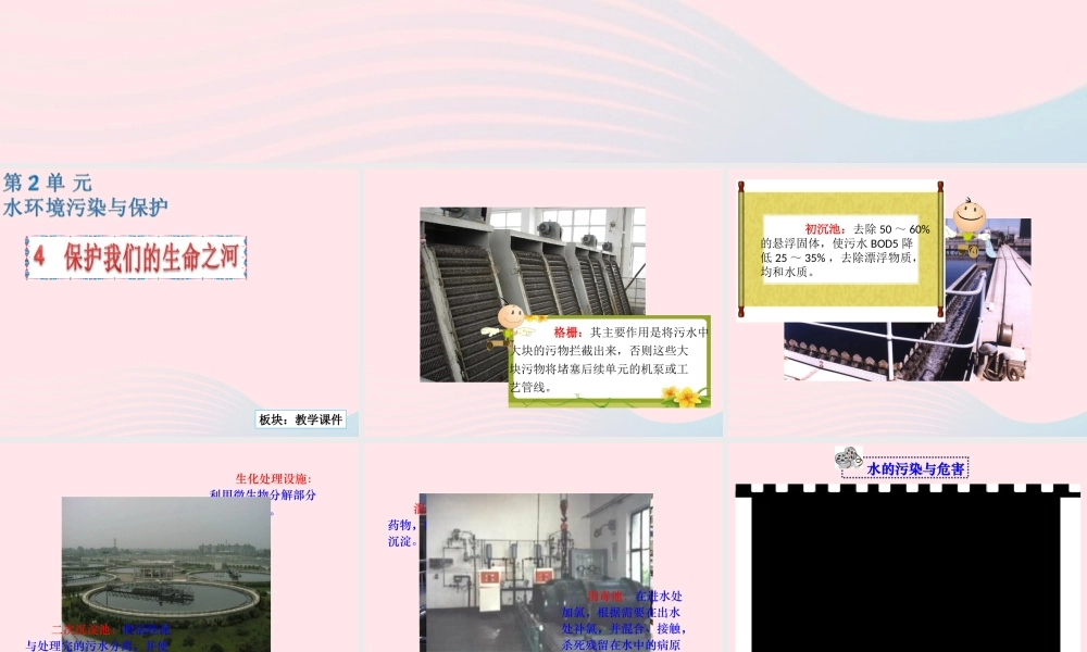 六年级科学下册 二 水环境污染与保护 4 保护我们的生命之河课件（2） 湘教版-湘教版小学六年级下册自然科学课件