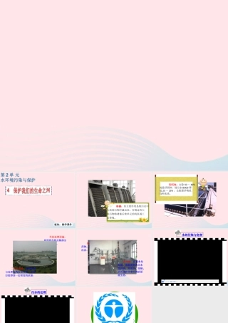 六年级科学下册 二 水环境污染与保护 4 保护我们的生命之河课件（2） 湘教版-湘教版小学六年级下册自然科学课件