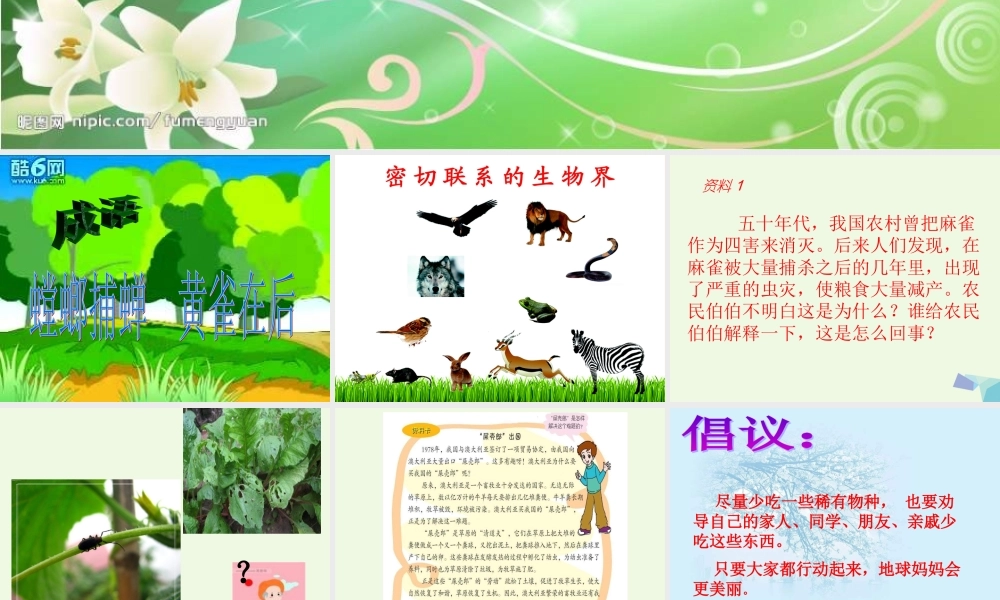 六年级科学上册 密切联系的生物界课件9 青岛版-青岛版小学六年级上册自然科学课件