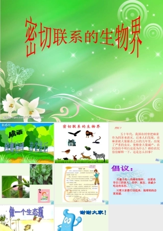 六年级科学上册 密切联系的生物界课件9 青岛版-青岛版小学六年级上册自然科学课件
