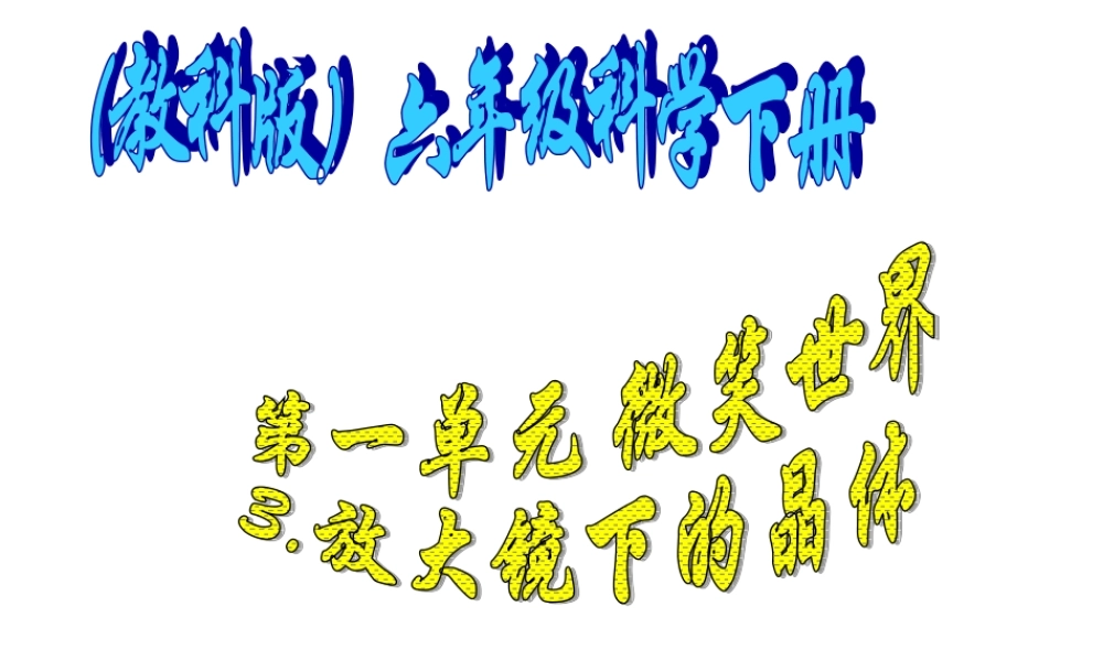 六年级科学下册 放大镜下的晶体1课件 教科版