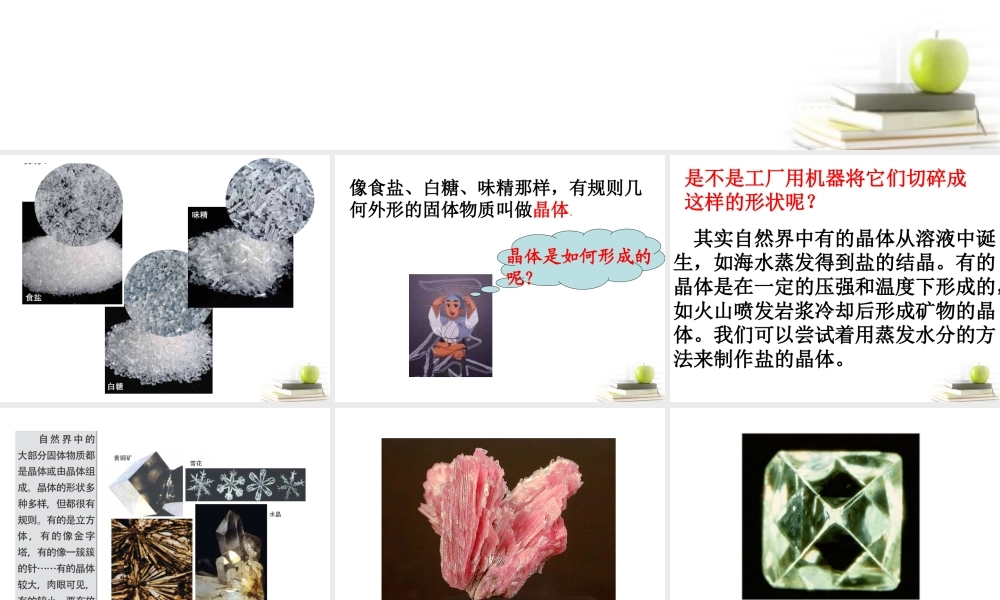 六年级科学下册 放大镜下的晶体1课件 教科版