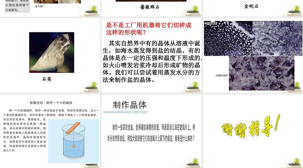 六年级科学下册 放大镜下的晶体1课件 教科版