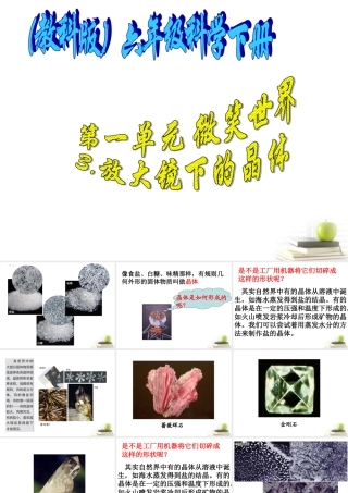 六年级科学下册 放大镜下的晶体1课件 教科版