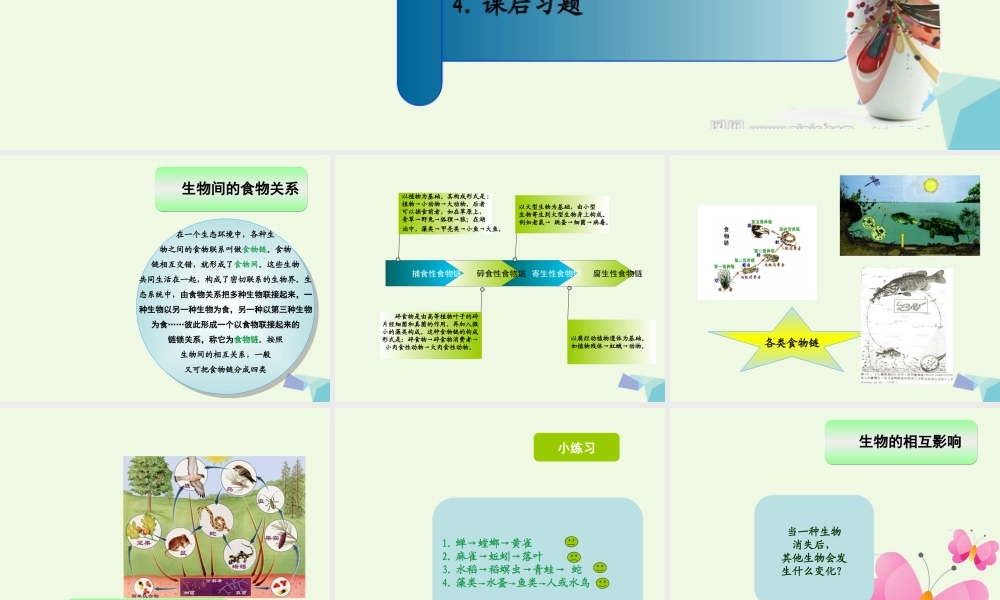 六年级科学上册 密切联系的生物界课件10 青岛版-青岛版小学六年级上册自然科学课件