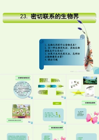 六年级科学上册 密切联系的生物界课件10 青岛版-青岛版小学六年级上册自然科学课件