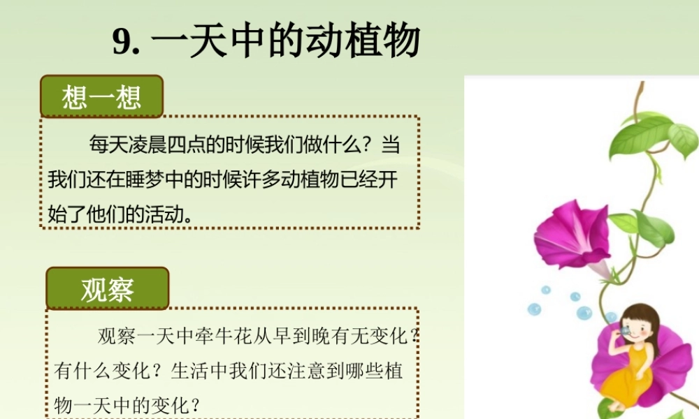 六年级科学上册 第9课 一天中的动植物课件2 鄂教版-鄂教版小学六年级上册自然科学课件