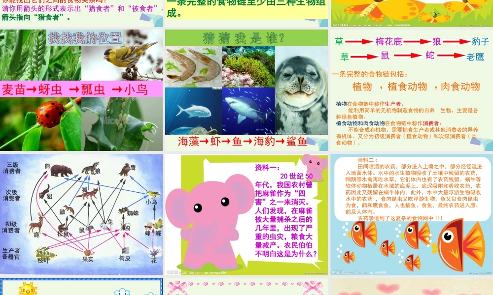 六年级科学上册 密切联系的生物界课件11 青岛版-青岛版小学六年级上册自然科学课件