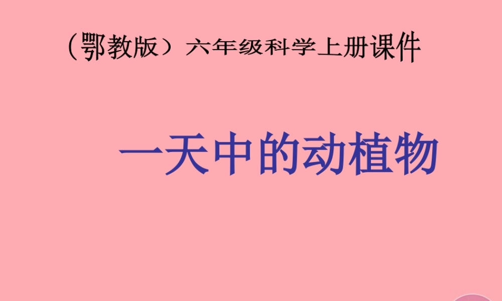 六年级科学上册 第9课 一天中的动植物课件3 鄂教版-鄂教版小学六年级上册自然科学课件