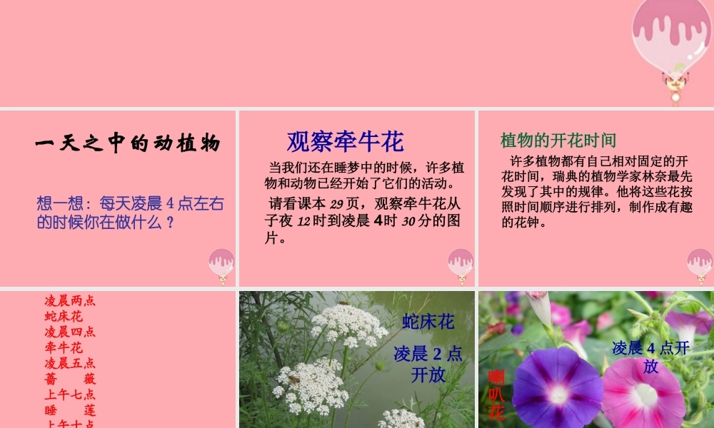 六年级科学上册 第9课 一天中的动植物课件3 鄂教版-鄂教版小学六年级上册自然科学课件