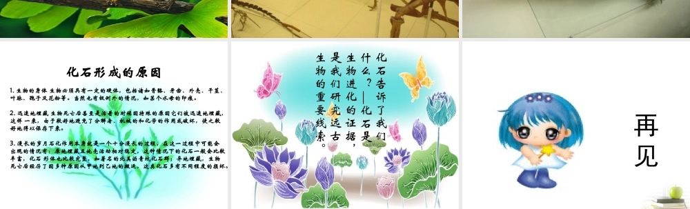 六年级科学下册 化石告诉了我们什么1课件 苏教版