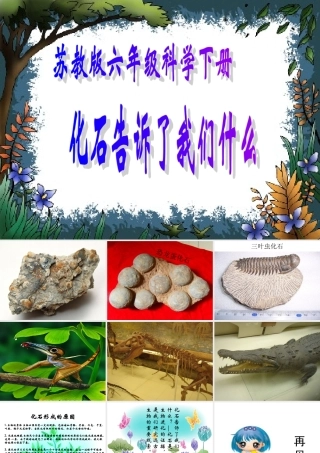 六年级科学下册 化石告诉了我们什么1课件 苏教版