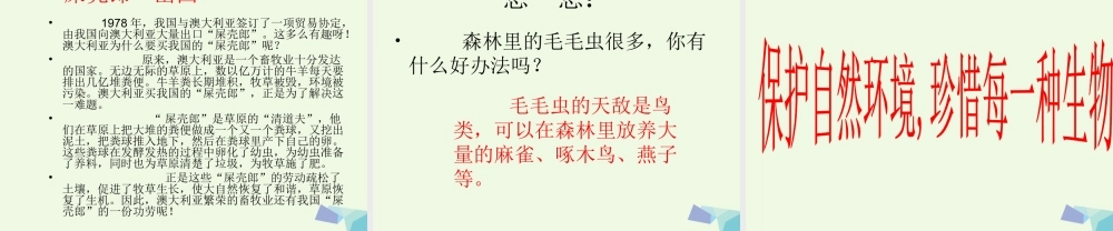 六年级科学上册 密切联系的生物界课件12 青岛版-青岛版小学六年级上册自然科学课件