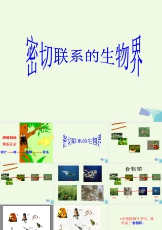 六年级科学上册 密切联系的生物界课件12 青岛版-青岛版小学六年级上册自然科学课件