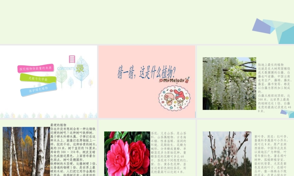 六年级科学上册 第9课 植物与能量课件1 冀教版-冀教版小学六年级上册自然科学课件