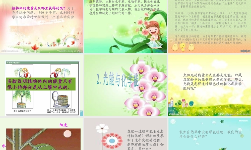 六年级科学上册 第9课 植物与能量课件1 冀教版-冀教版小学六年级上册自然科学课件