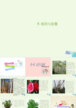 六年级科学上册 第9课 植物与能量课件1 冀教版-冀教版小学六年级上册自然科学课件
