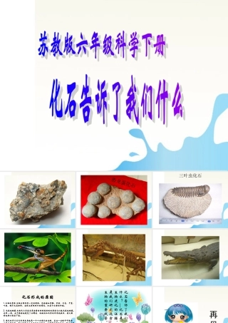 六年级科学下册 化石告诉了我们什么课件1 苏教版
