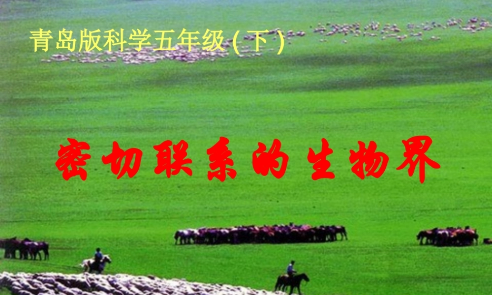 六年级科学上册 密切联系的生物界课件13 青岛版-青岛版小学六年级上册自然科学课件