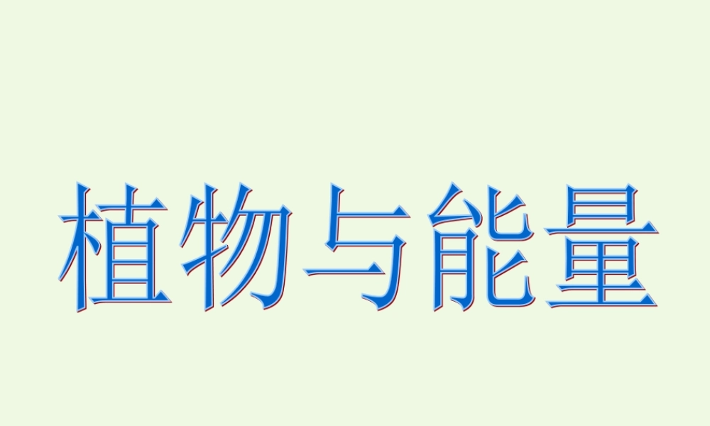 六年级科学上册 第9课 植物与能量课件2 冀教版-冀教版小学六年级上册自然科学课件
