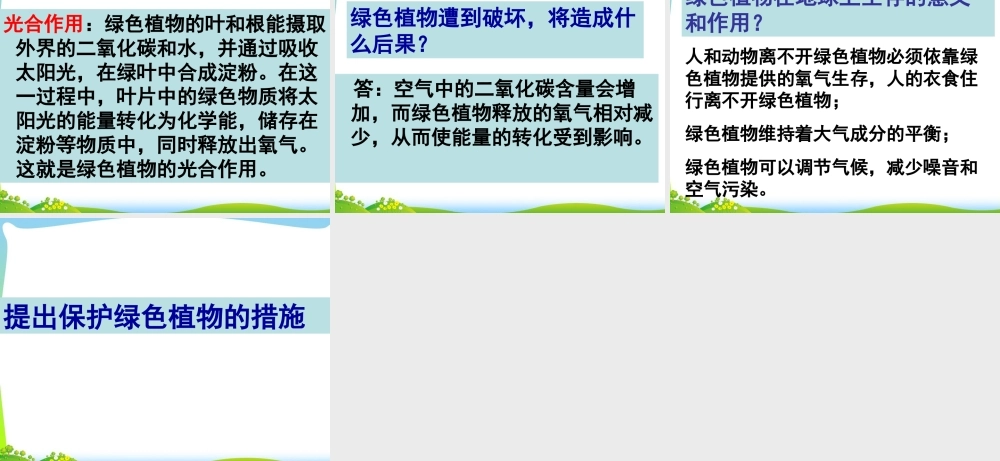 六年级科学上册 第9课 植物与能量课件2 冀教版-冀教版小学六年级上册自然科学课件