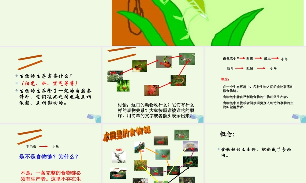 六年级科学上册 密切联系的生物界课件14 青岛版-青岛版小学六年级上册自然科学课件