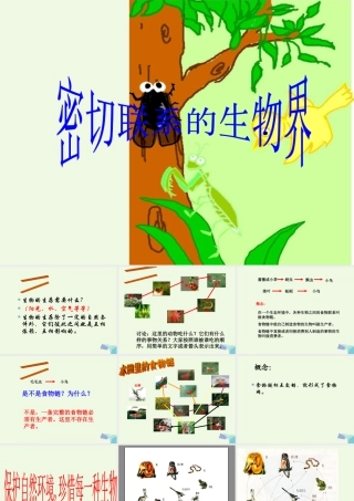 六年级科学上册 密切联系的生物界课件14 青岛版-青岛版小学六年级上册自然科学课件