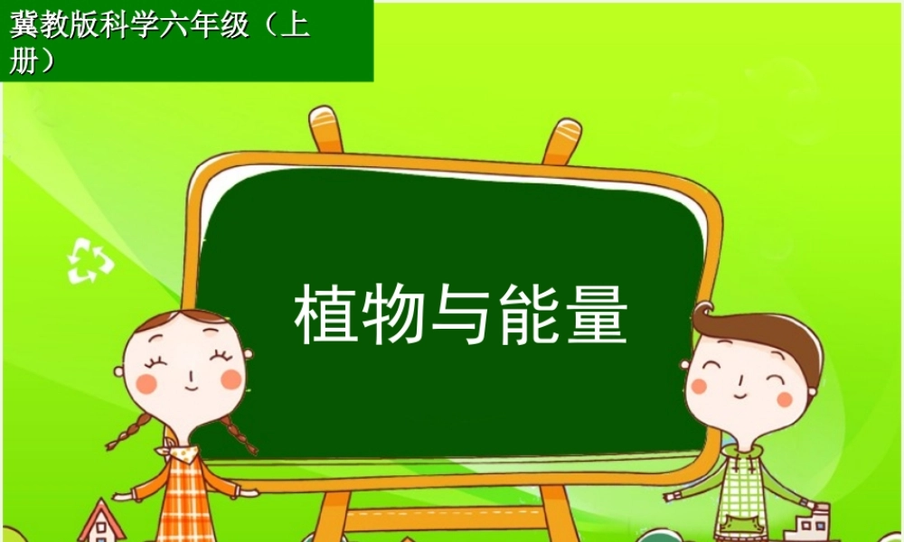 六年级科学上册 第9课 植物与能量课件3 冀教版-冀教版小学六年级上册自然科学课件