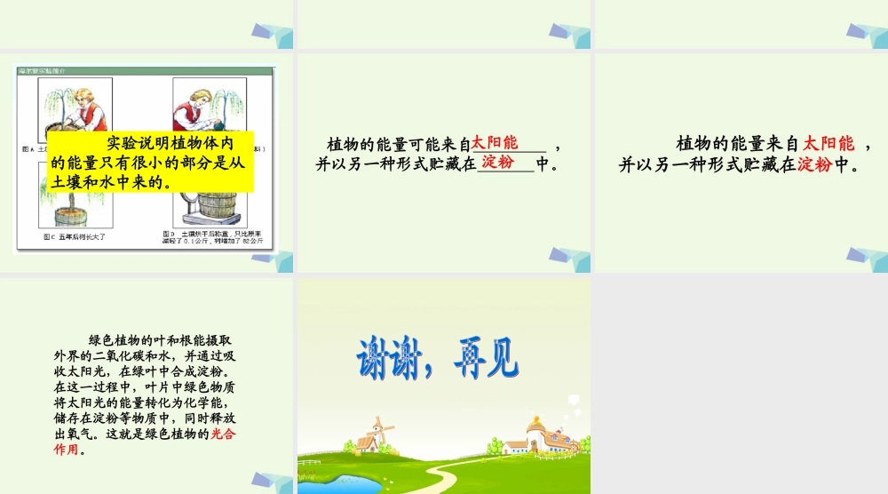 六年级科学上册 第9课 植物与能量课件3 冀教版-冀教版小学六年级上册自然科学课件