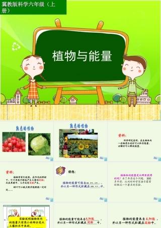 六年级科学上册 第9课 植物与能量课件3 冀教版-冀教版小学六年级上册自然科学课件