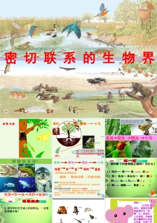 六年级科学上册 密切联系的生物界课件16 青岛版-青岛版小学六年级上册自然科学课件
